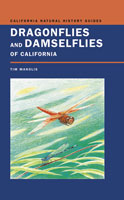 California+dragonflies+pictures