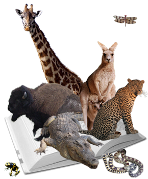 animal books