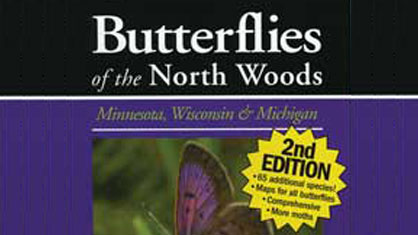 Butterflies of the North Woods